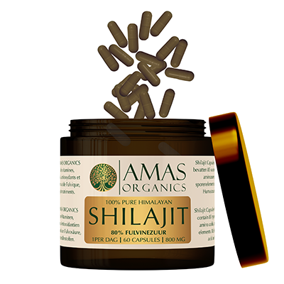 SHILAJIT capsules